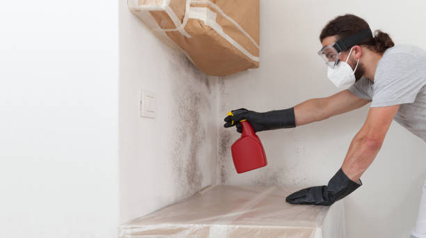 Professional Crawl Space Mold Removal technician working in Maple, NC