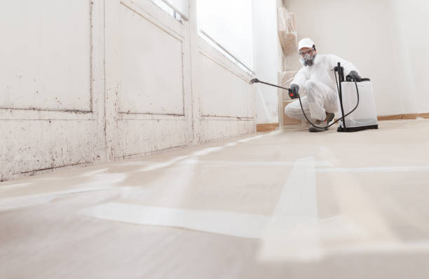 24/7 Emergency Crawl Space Mold Removal experts in Maple, NC