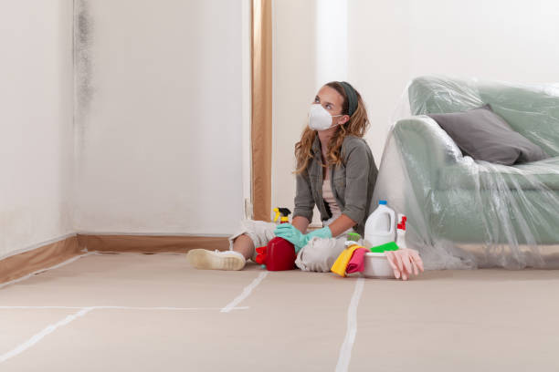 Reliable Crawl Space Mold Removal contractor in Maple, NC by WQB Mold Removal